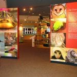 article image -